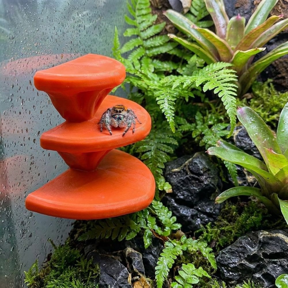 3D Baskı Mantar Şeklinde Evcil - 3D Printing Lizard incelemesi ve fiyatı